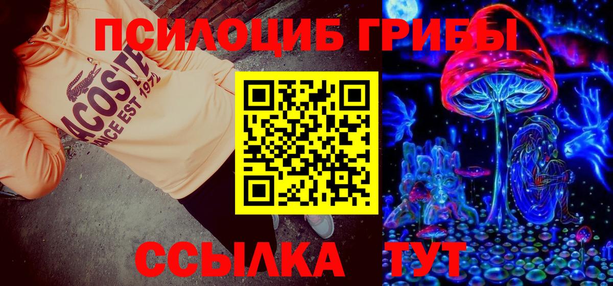 Галлюциногенные грибы Magic Shrooms  Вход с VPN  Камень-на-Оби  Псилоцибиновые грибы прущие грибы 
